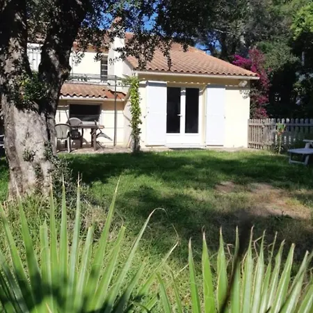 Apartamento En Rez De